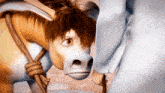 a cartoon donkey with a rope around its neck looks at someone