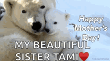 Mothers Day Polar Bears GIF - Mothers Day Polar Bears Mother And Daughter GIFs
