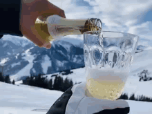 a person is pouring a bottle of beer into a glass