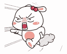 cat bunny tu cute running