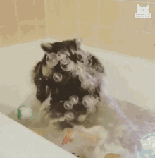 My Bubbles Blow Bubbles GIF - My Bubbles Blow Bubbles Raccoon GIFs