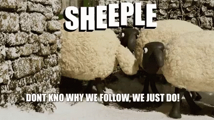 Sheeple Sheep GIF - Sheeple Sheep Followers GIFs