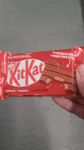 Kitkat Chocolate Bar GIF