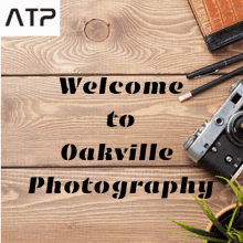 Photography In Oakville Photographer Toronto GIF - Photography In Oakville Photographer Toronto Toronto Product Photographer GIFs