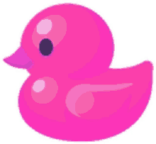 pinkduck pink duck rubber ducky pink rubber ducky