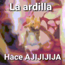 a pixelated image with the words la ardilla hace ajijijija on it