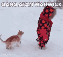 Gang Gang Atan Warwıck GIF - Gang Gang Atan Warwıck Warwıck GIFs