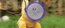a stuffed animal with a smiley face on it 's face is standing in the grass .