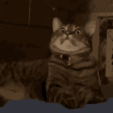 GIF