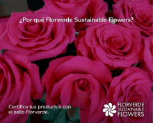 flowers florverde sustainable flowers