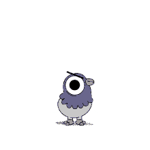muscle pigeon