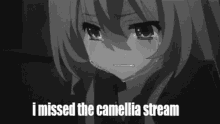 camellia stream vtuber cametek cry
