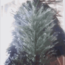 a person is standing in front of a christmas tree