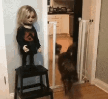 Dog Doll GIF - Dog Doll Scared GIFs