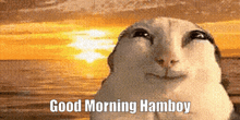 Good Morning Hamboy GIF - Good Morning Hamboy Good Morning Hamboy GIFs