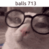 a close up of a cat wearing glasses with the text balls 713 below it