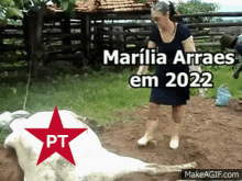 Marília Arraes Pernambuco GIF - Marília Arraes Pernambuco Pt GIFs