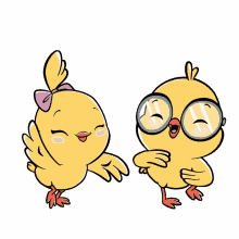 canticos chicks