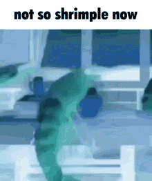 Shrimple Negative GIF - Shrimple Negative Meme GIFs