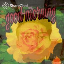 Good Morning Flower GIF - Good Morning Flower Selfie GIFs