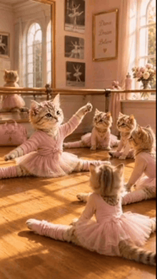 a group of cats dressed up as ballerinas doing splits