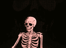 Skeleton Bones GIF - Skeleton Bones Skull GIFs