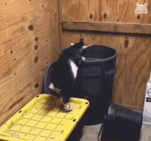 Goat Jumping Into Trash Im Done GIF - Goat Jumping Into Trash Im Done Over It GIFs