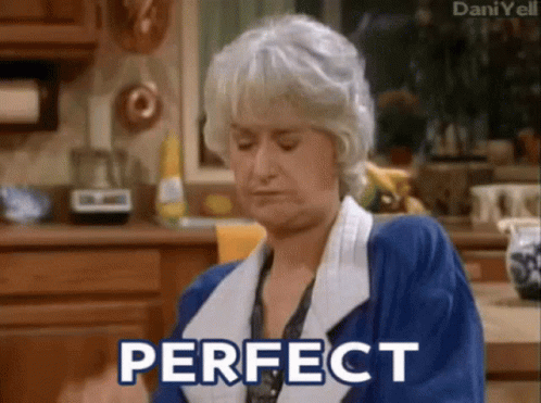 Excellent Perfect GIF - Excellent Perfect Golden Girls GIFs