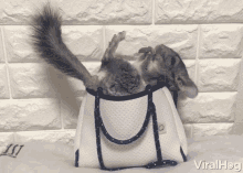 Chilling Snacking GIF - Chilling Snacking Relaxing GIFs