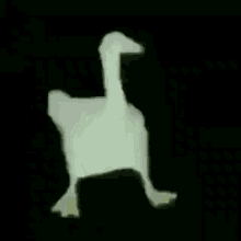 Dance Duck GIF - Dance Duck GIFs
