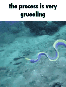 Grueling Grueeling GIF - Grueling Grueeling Clamplicated GIFs