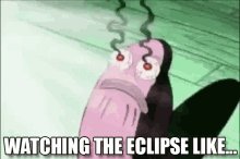 Watching The Eclipse Like GIF - Eclipse Solar Eclipse Eclipse2017 GIFs