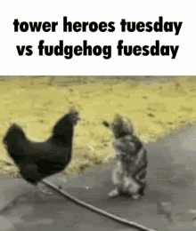 Tower Heroes Tower Heroes Tuesday GIF