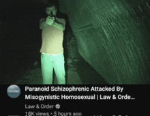 paranoid schizophrenic attacked by misogynistic homosexual law & order