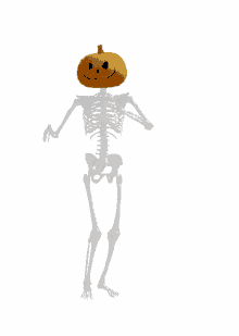 skeleton skeleton