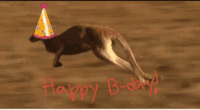 Kangaroo Birthday GIF - Kangaroo Birthday GIFs