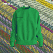 a purple sweater is on a colorful background with the word pangaia above it