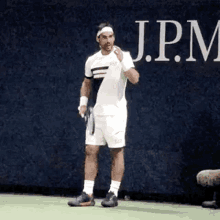 fabio fognini gesture tennis italia atp