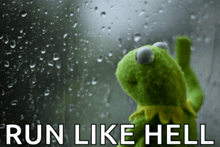 a kermit frog is standing in front of a window with rain drops and the words run like hell