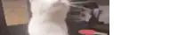 a blurred image of a person standing next to a bottle of wine .