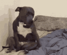Beat Bedtime GIF - Beat Bedtime Tired GIFs