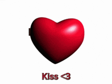 a picture of a cat and a man with the words kiss < 3