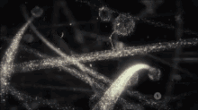 Protein Transport GIF - Protein Transport Microscopic GIFs