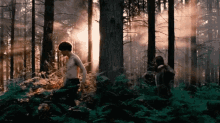 End Of World Forest GIF