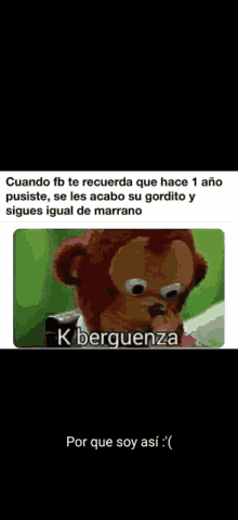 a picture of a stuffed monkey with a caption that says `` k berguenza '' .