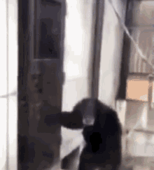 GIF