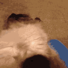 干嘛 GIF