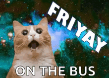 Friyay Friday GIF - Friyay Friday Cat GIFs