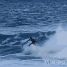 surfing fail viralhog surfing fell down surfer