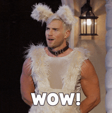 a man wearing bunny ears and a furry outfit with wow written on it